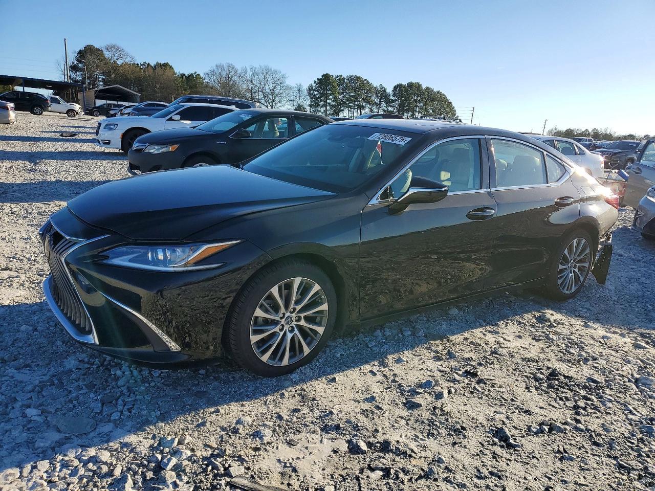 2019 LEXUS ES 350