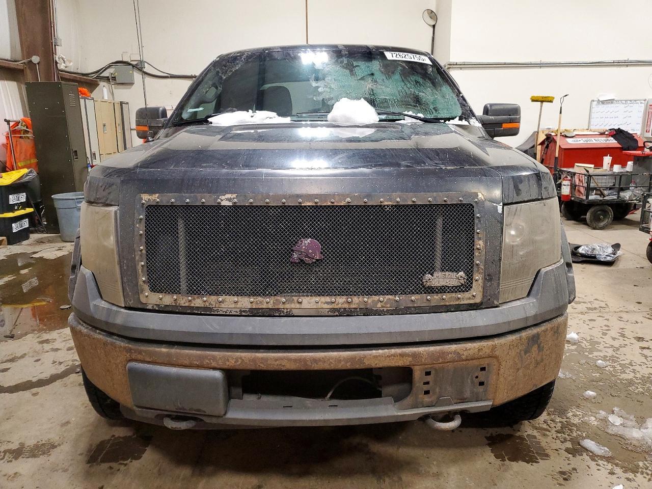 2009 FORD F-150