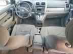 2010 HONDA CR-V