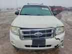 2010 FORD ESCAPE