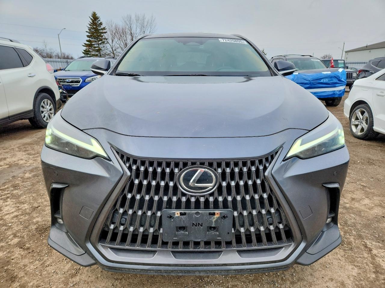 2024 LEXUS NX 350H
