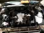 2003 BUICK Park Avenue