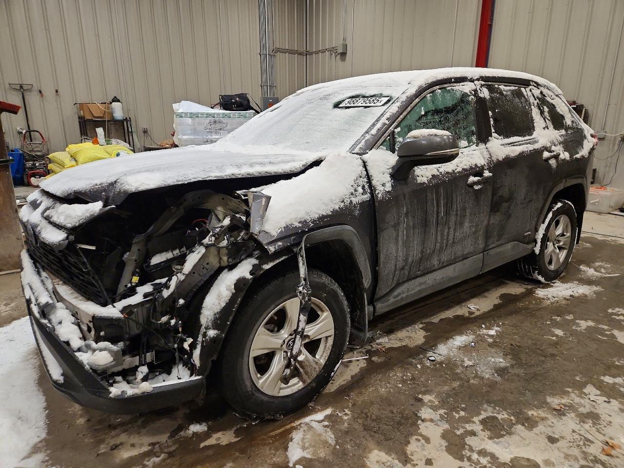 2019 TOYOTA RAV4