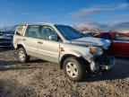 2006 HONDA PILOT