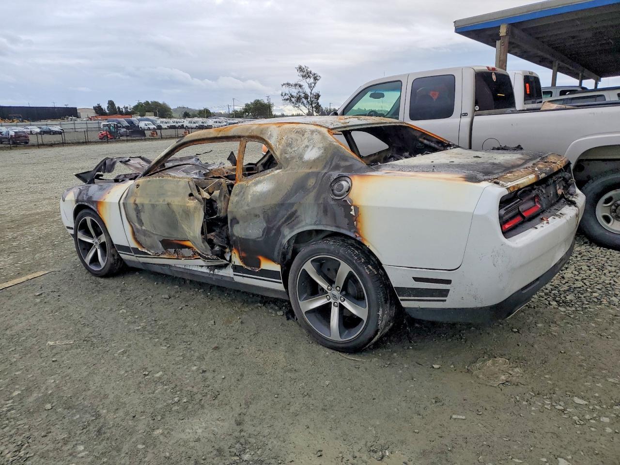 2019 DODGE Challenger