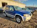 2007 FORD ESCAPE