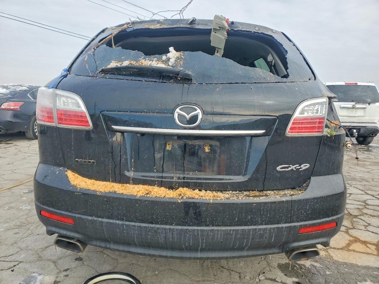2010 MAZDA CX-9