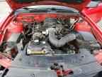 2009 FORD MUSTANG