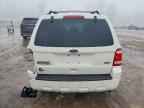 2010 FORD ESCAPE