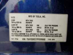 2023 TESLA MODEL Y
