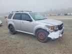2010 FORD ESCAPE