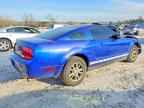 2005 FORD MUSTANG