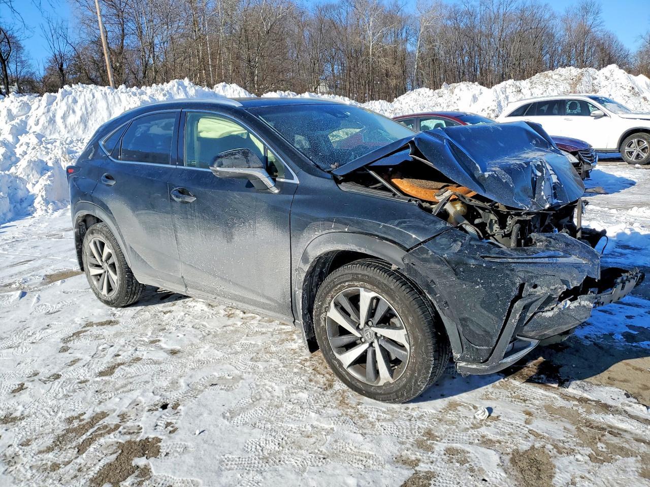 2019 LEXUS NX 300