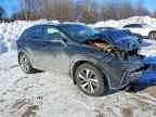 2019 LEXUS NX 300