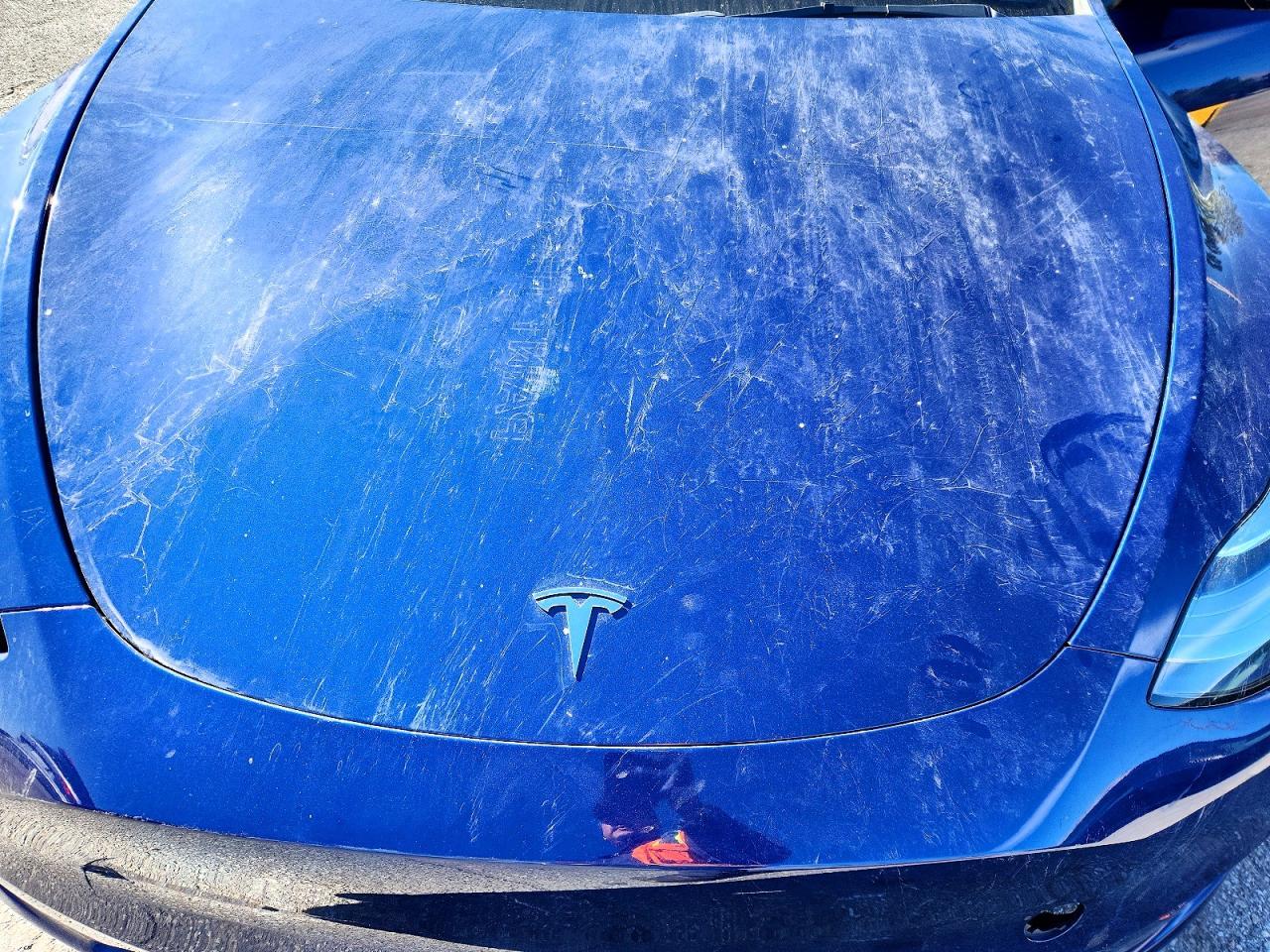 2021 TESLA MODEL Y