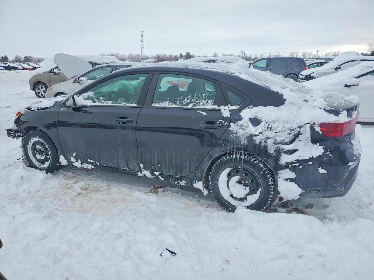 2019 KIA FORTE