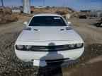 2013 DODGE Challenger