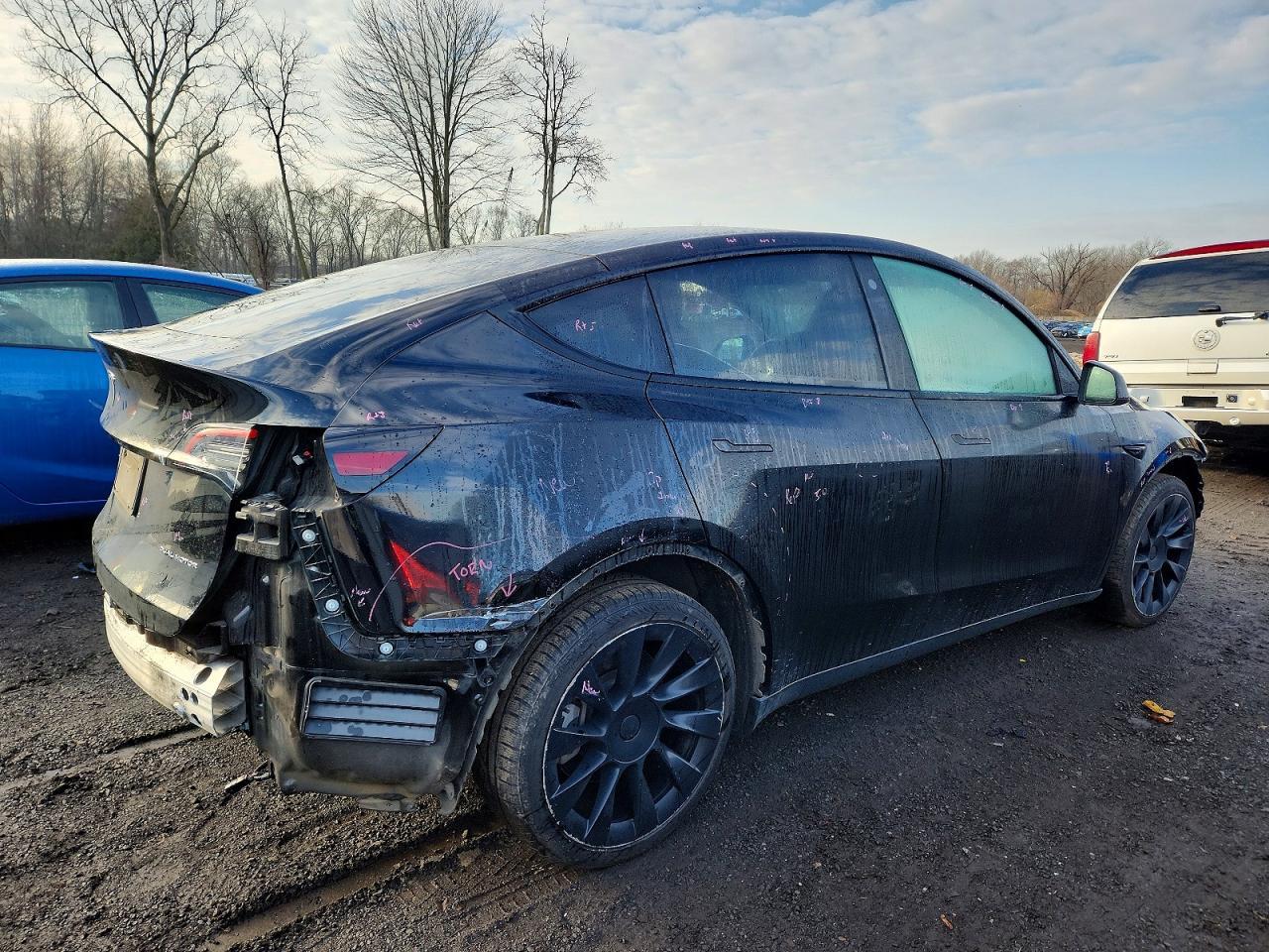 2021 TESLA MODEL Y