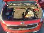 2019 KIA Niro