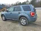 2010 FORD ESCAPE