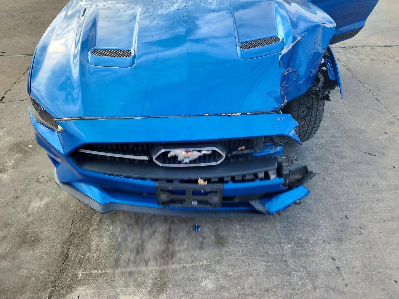 2019 FORD MUSTANG