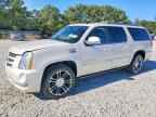 2013 CADILLAC Escalade ESV