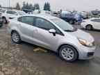 2013 KIA RIO