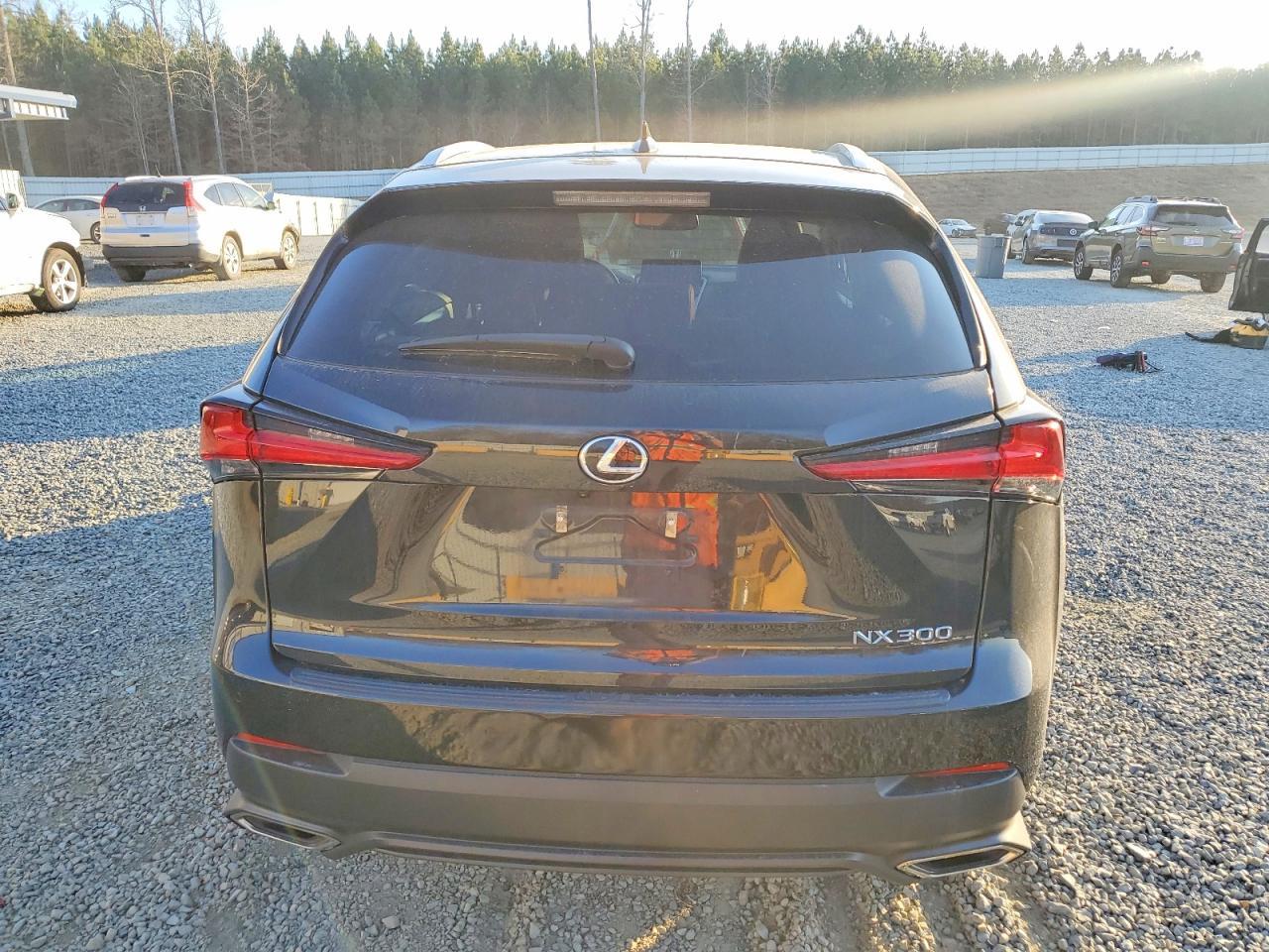 2021 LEXUS NX 300