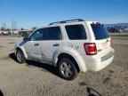 2009 FORD Escape Hybrid