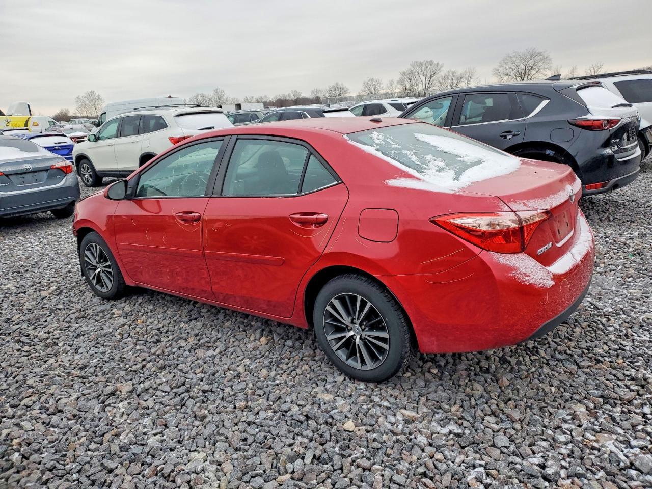 2019 TOYOTA COROLLA