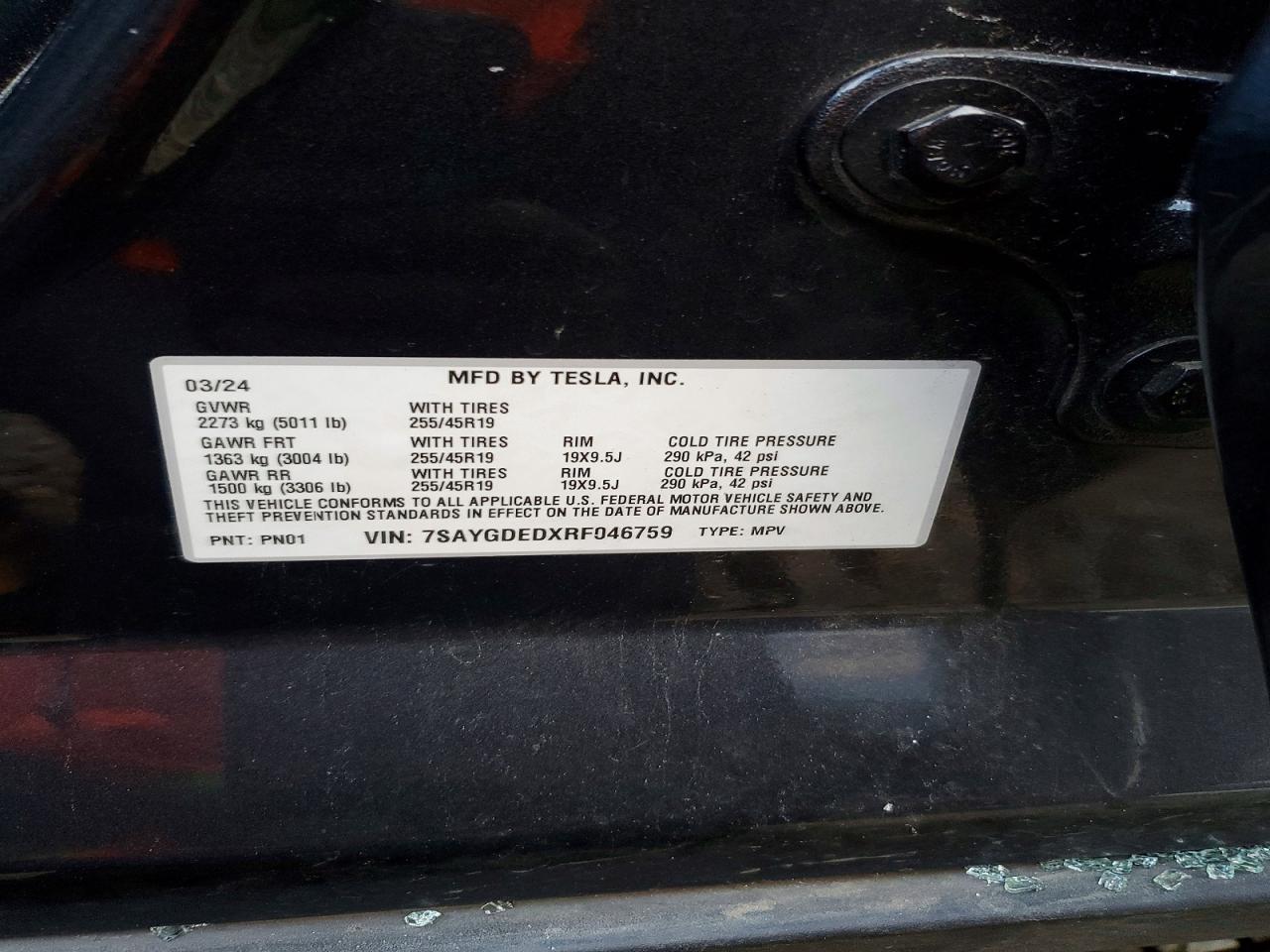 2024 TESLA MODEL Y