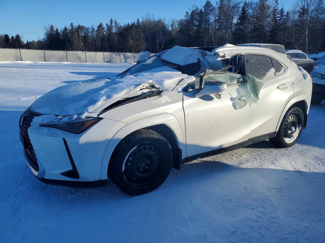 2025 LEXUS UX 300H