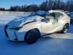 2025 LEXUS UX 300H