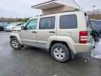 2010 JEEP Liberty