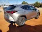 2025 LEXUS NX 250