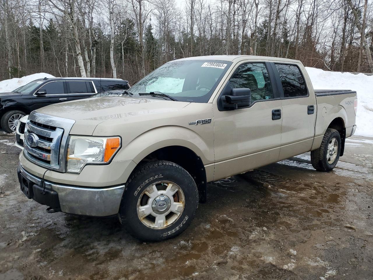 2009 FORD F-150