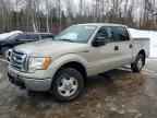 2009 FORD F-150