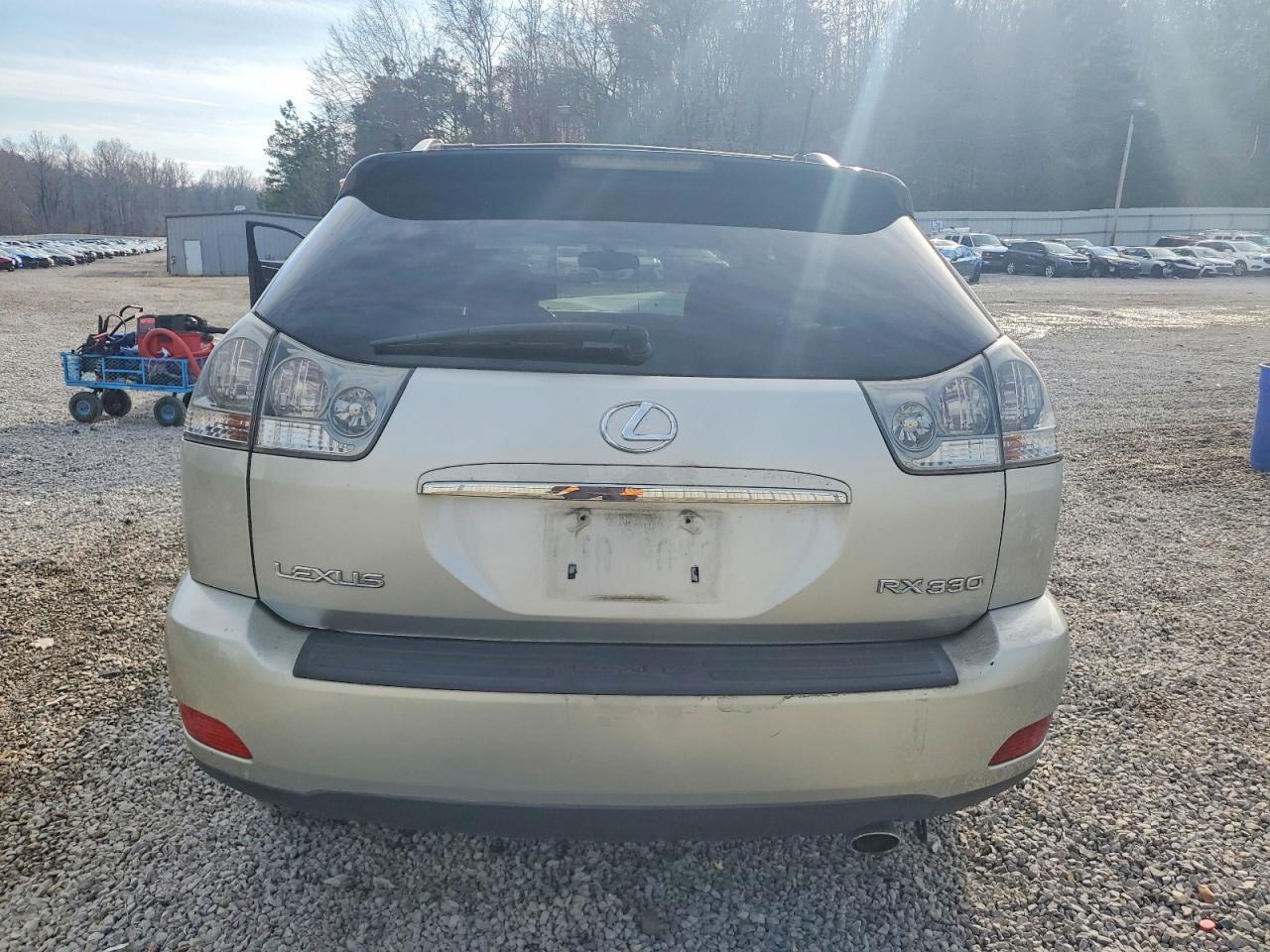 2004 LEXUS Rx 330