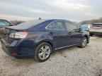 2010 LEXUS HS 250h