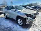 2006 LEXUS Rx 330