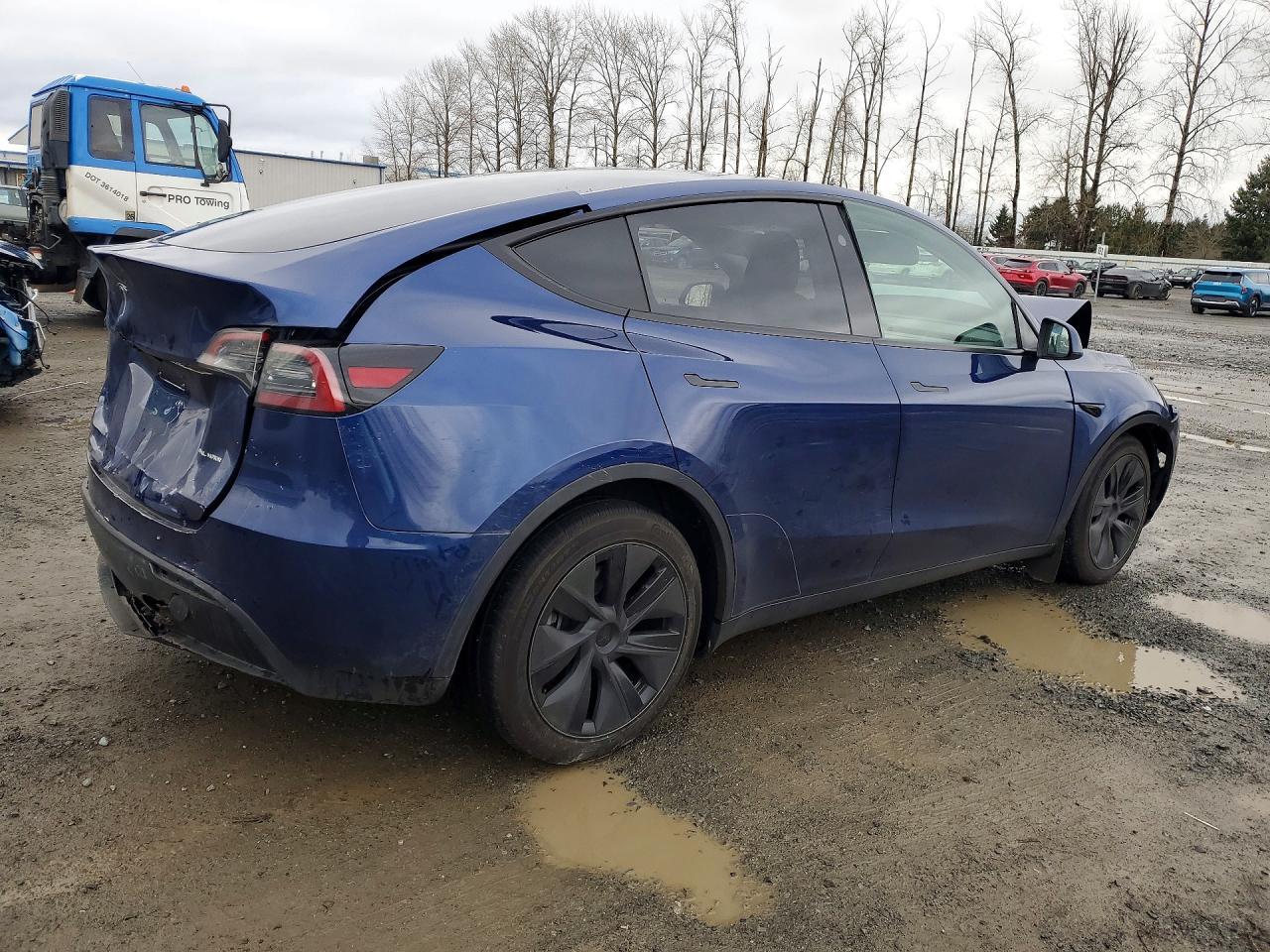2025 TESLA MODEL Y