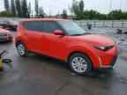 2024 KIA SOUL