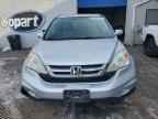 2010 HONDA CR-V