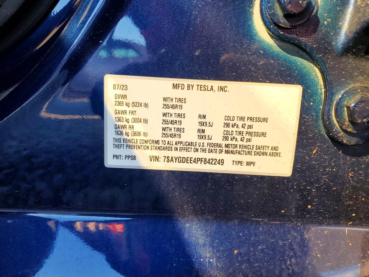 2023 TESLA MODEL Y