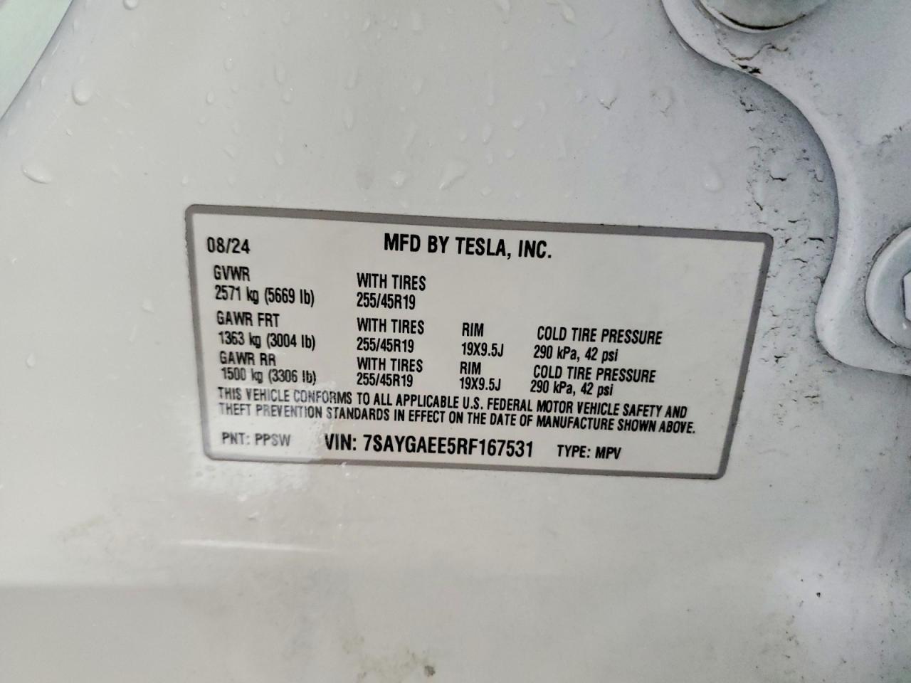 2024 TESLA MODEL Y