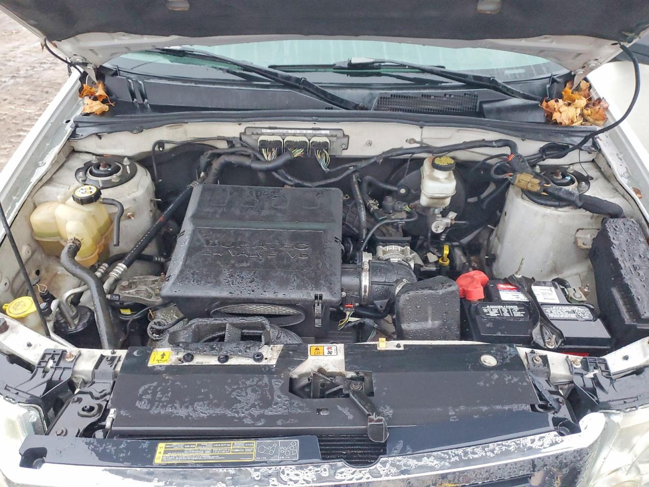 2010 FORD ESCAPE