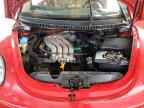 2000 VOLKSWAGEN Beetle