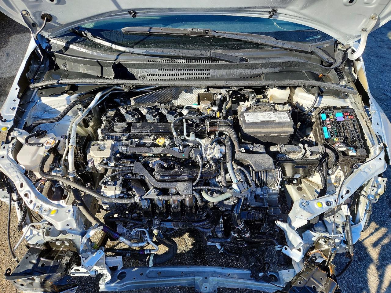 2024 TOYOTA COROLLA
