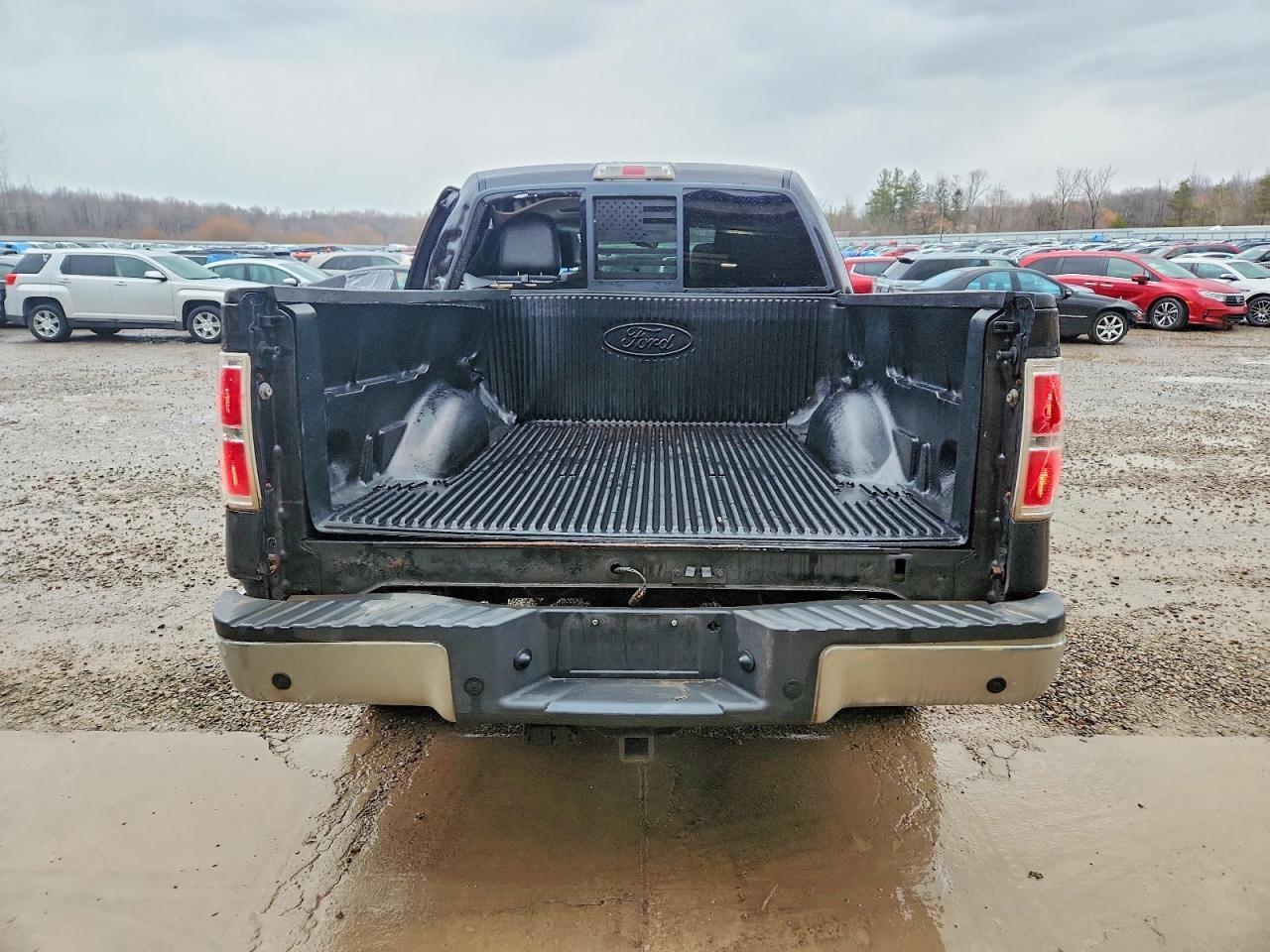 2010 FORD F-150