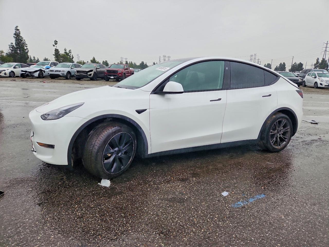 2024 TESLA MODEL Y